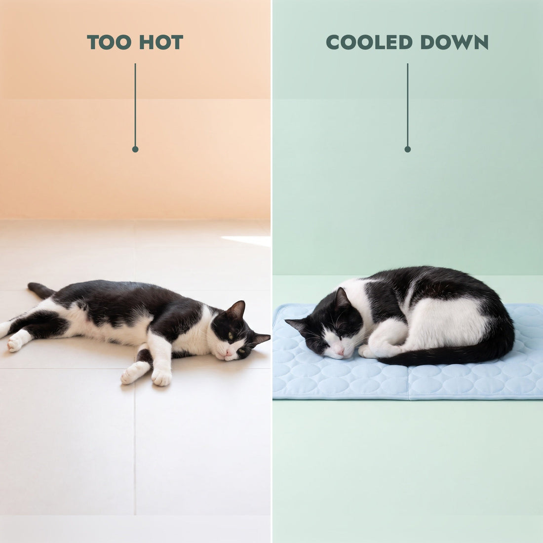Too hot vs cooled down on the Coolabah Cooling Mat