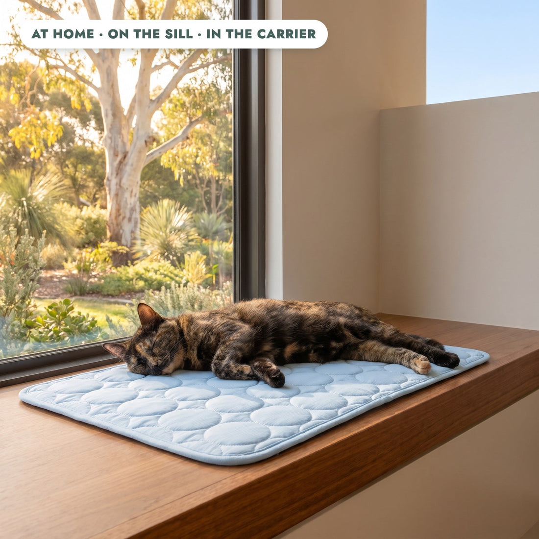 Coolabah Cooling Mat in everyday use