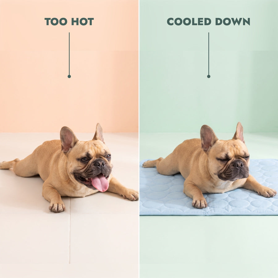 Too hot vs cooled down on the Coolabah Cooling Mat