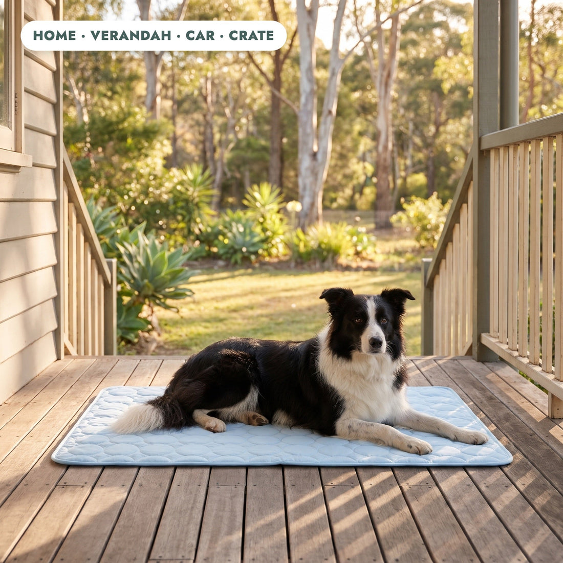 Coolabah Cooling Mat in everyday use