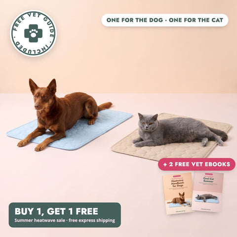 Coolabah Cooling Mat, Buy 1 Get 1 Free, one for the dog and one for the cat