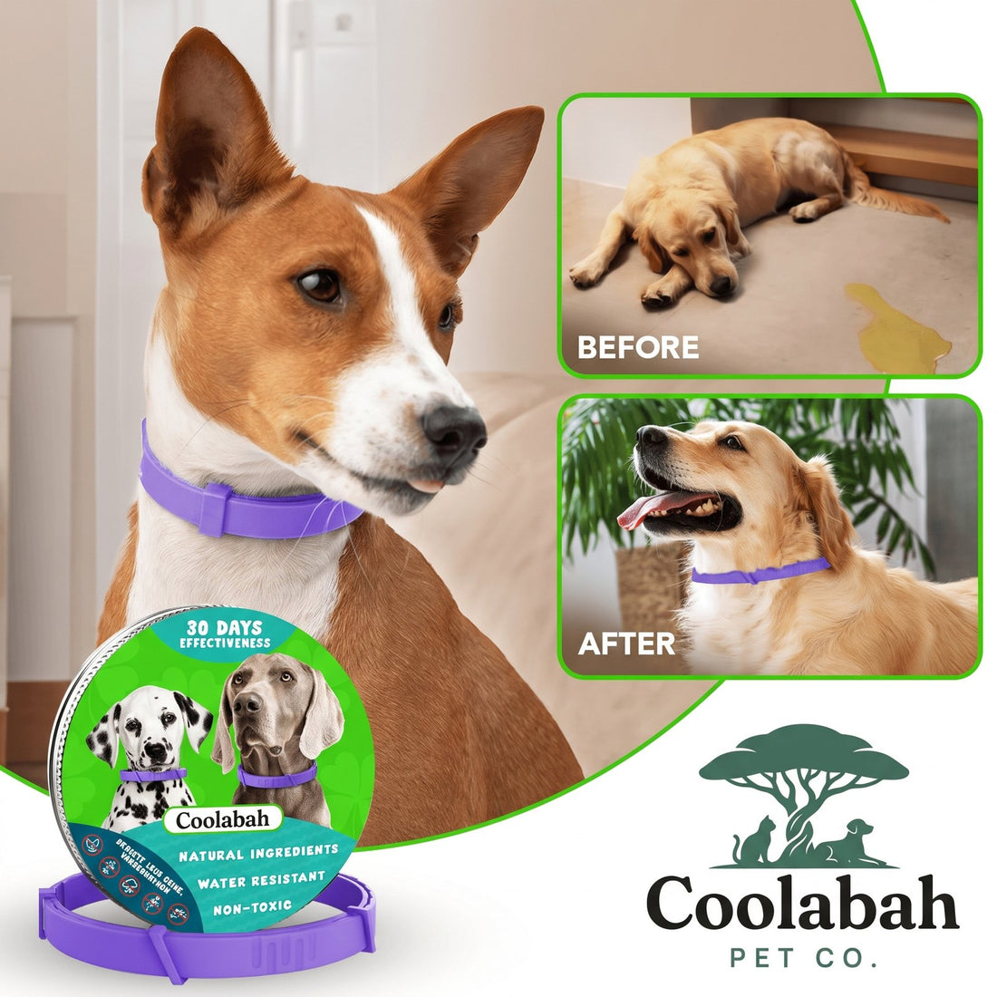 Calming Collar for Dogs - Coolabah Pet Co.