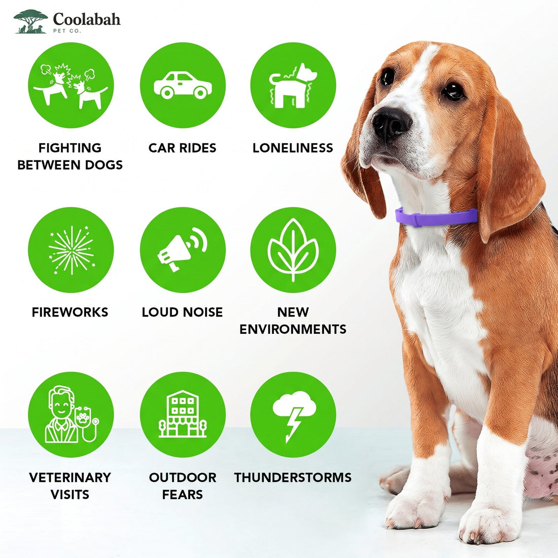 Calming Collar for Dogs - Coolabah Pet Co.