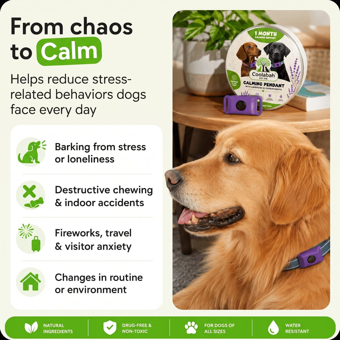 Calming Pendant for Dogs - Coolabah Pet Co.
