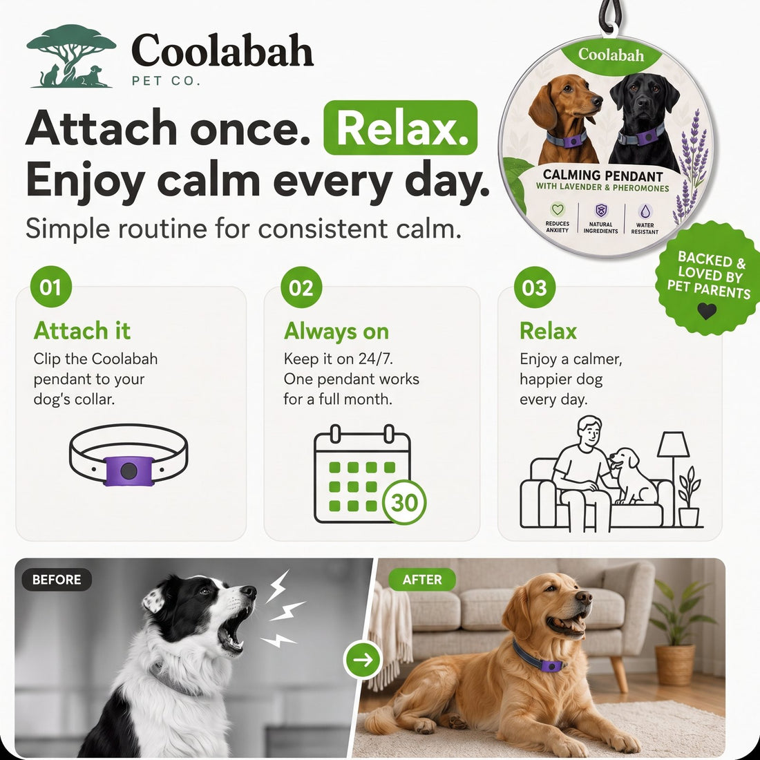 Calming Pendant for Dogs - Coolabah Pet Co.