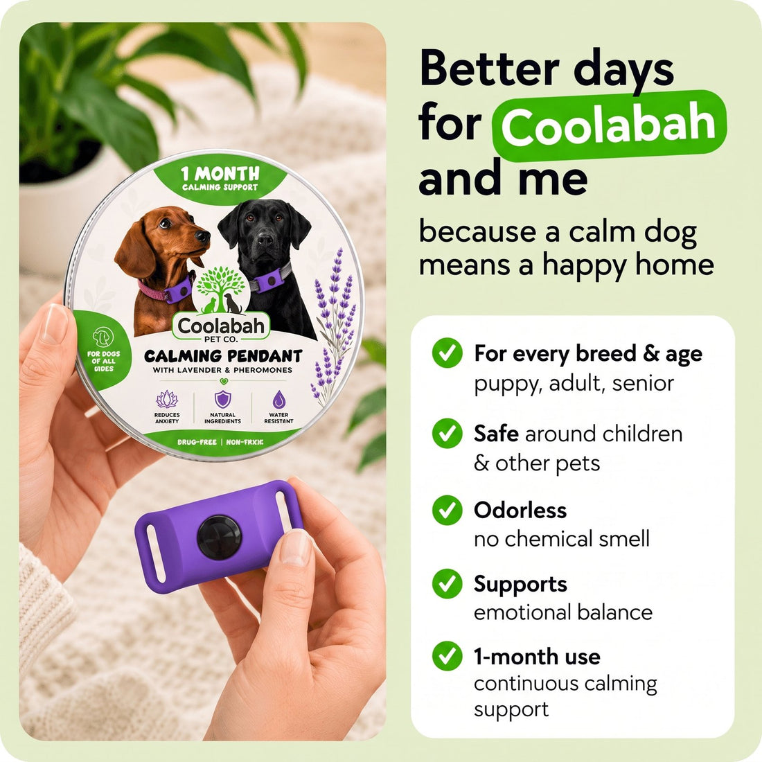 Calming Pendant for Dogs - Coolabah Pet Co.