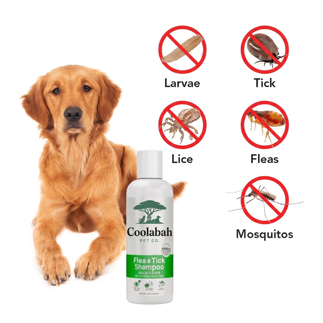 Flea & Tick Shampoo for Dogs - Coolabah Pet Co.