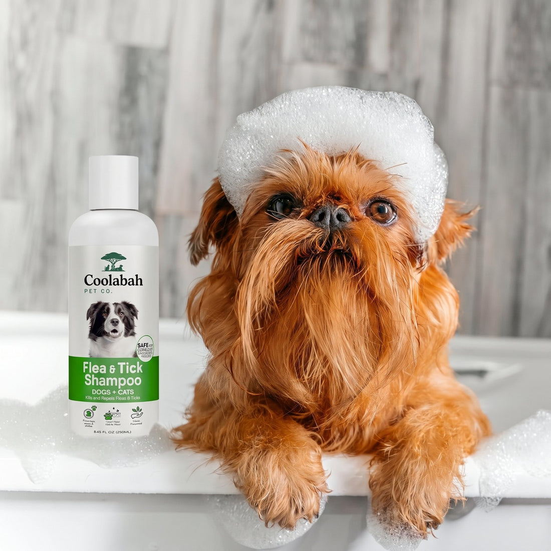 Flea & Tick Shampoo for Dogs - Coolabah Pet Co.