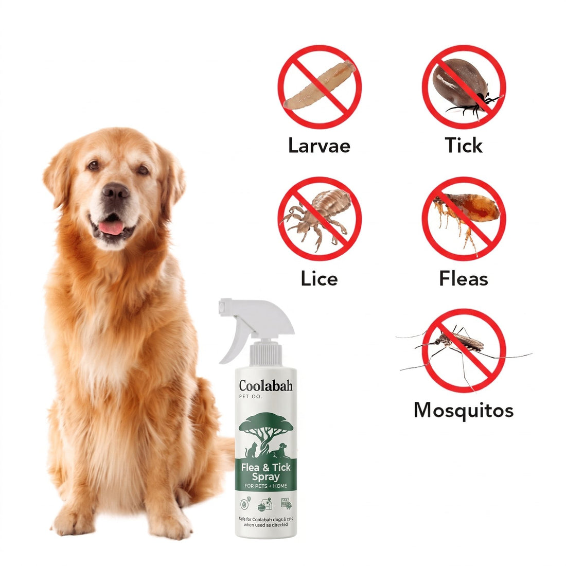 Flea & Tick Spray for Dogs - Coolabah Pet Co.