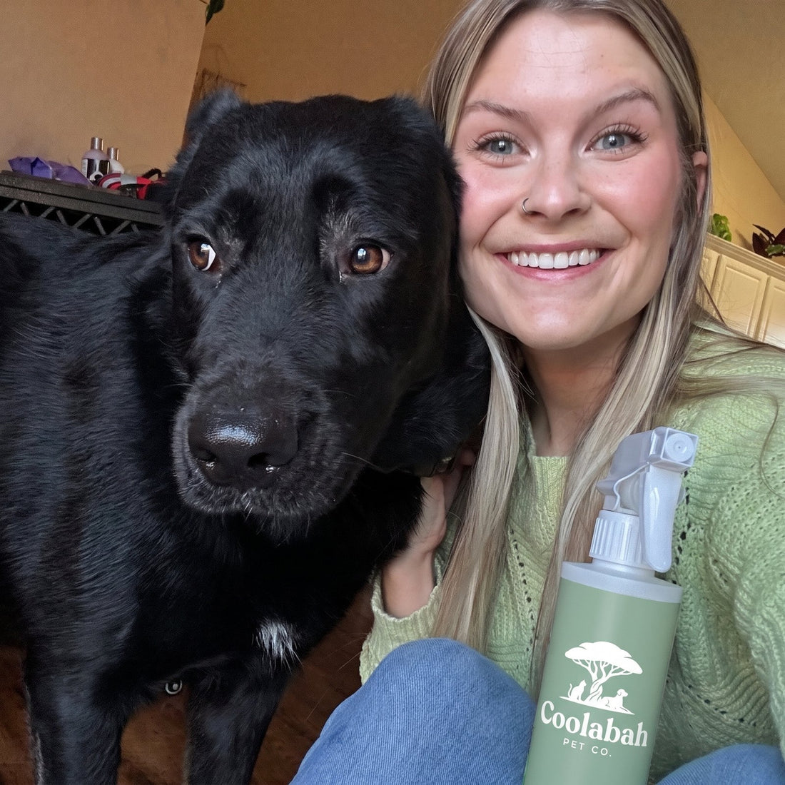 Flea & Tick Spray for Dogs - Coolabah Pet Co.