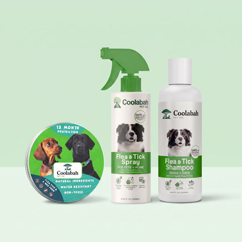 Flea & Tick Complete Kit