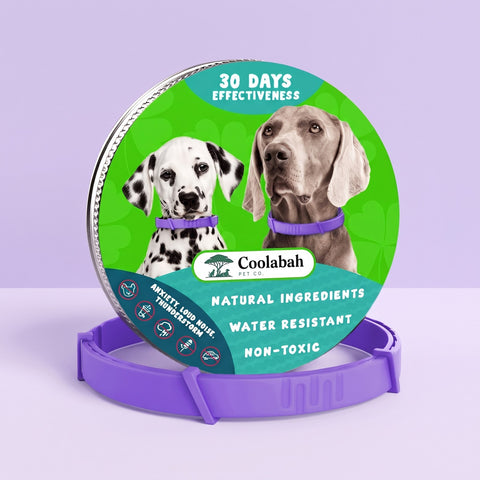 Calming Collar for Dogs