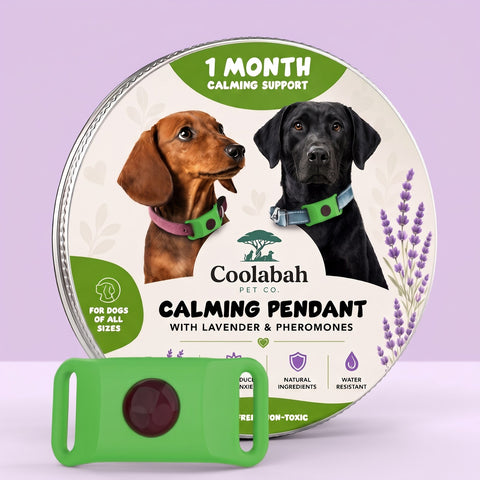 Calming Pendant for Dogs