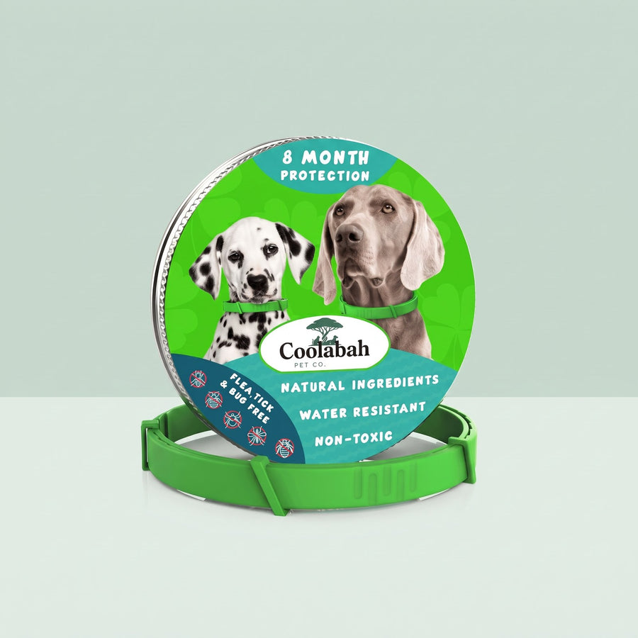 8-Month Flea & Tick Collar for Dogs