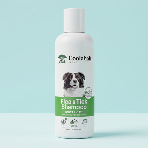 Flea & Tick Shampoo for Dogs