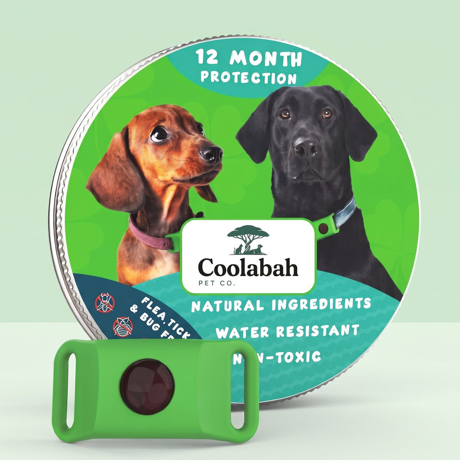 12-Month Flea & Tick Pendant for Dogs