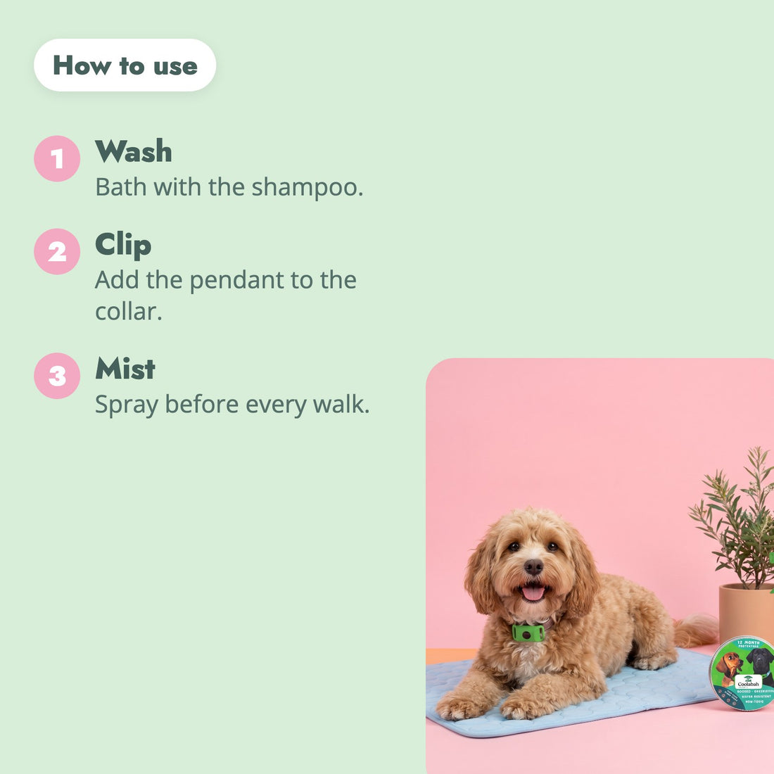 How to use the Flea & Tick Complete Kit