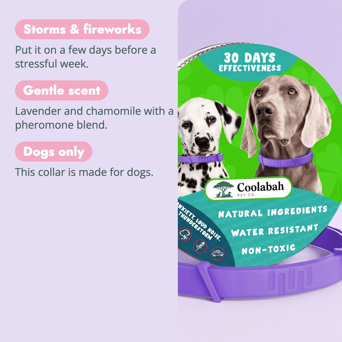 Why pet parents choose the Calming Collar for Dogs