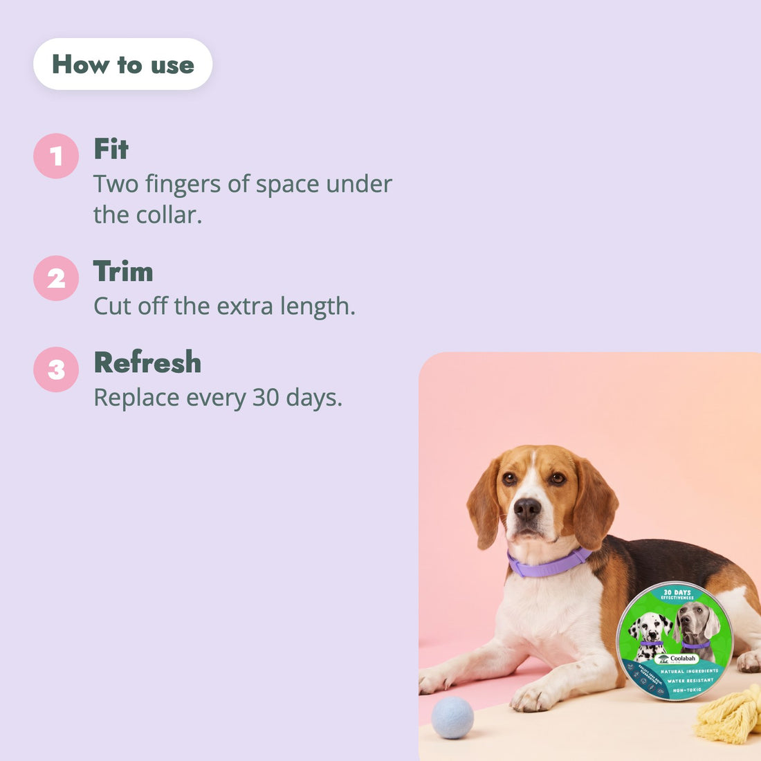 How to use the Calming Collar for Dogs