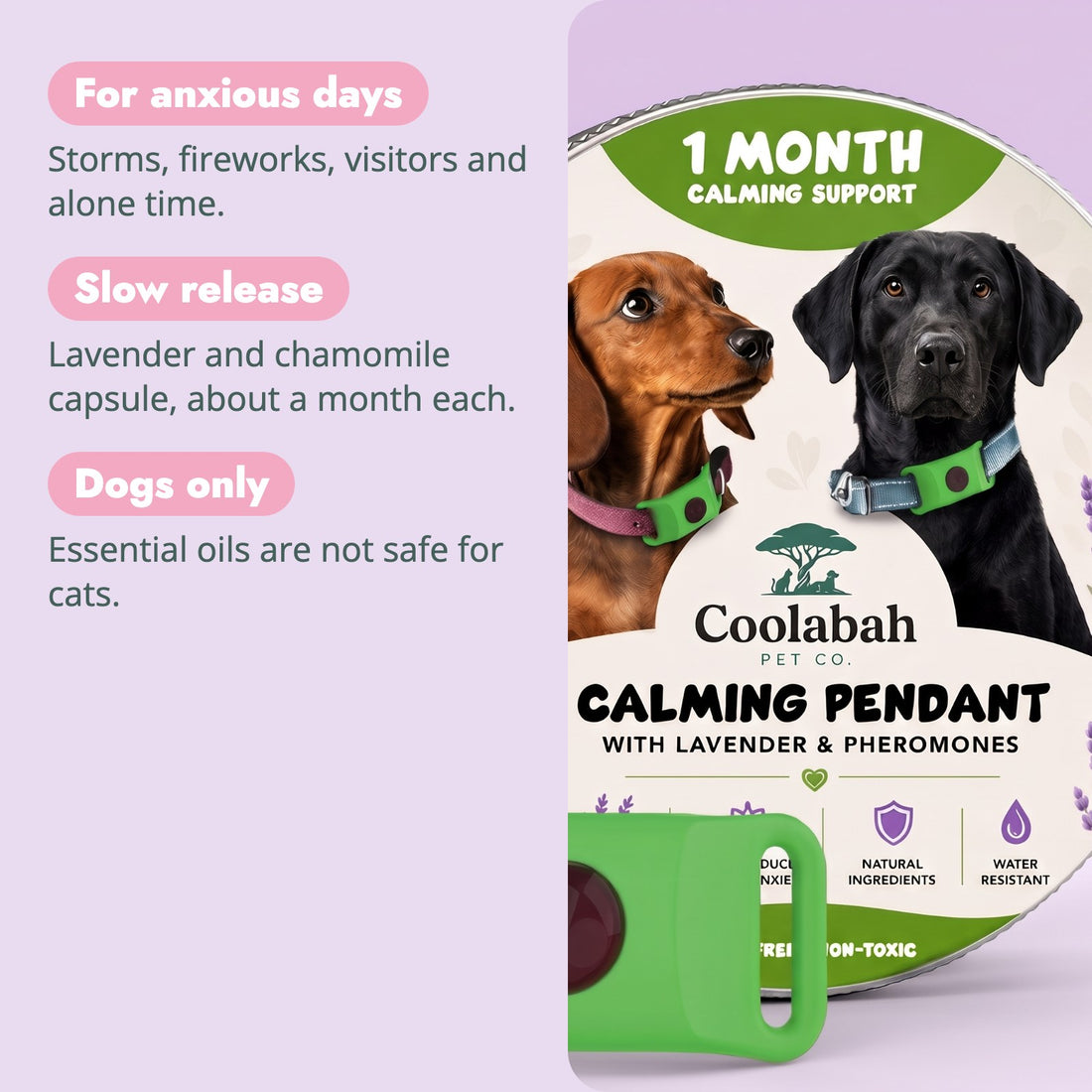 Why pet parents choose the Calming Pendant for Dogs