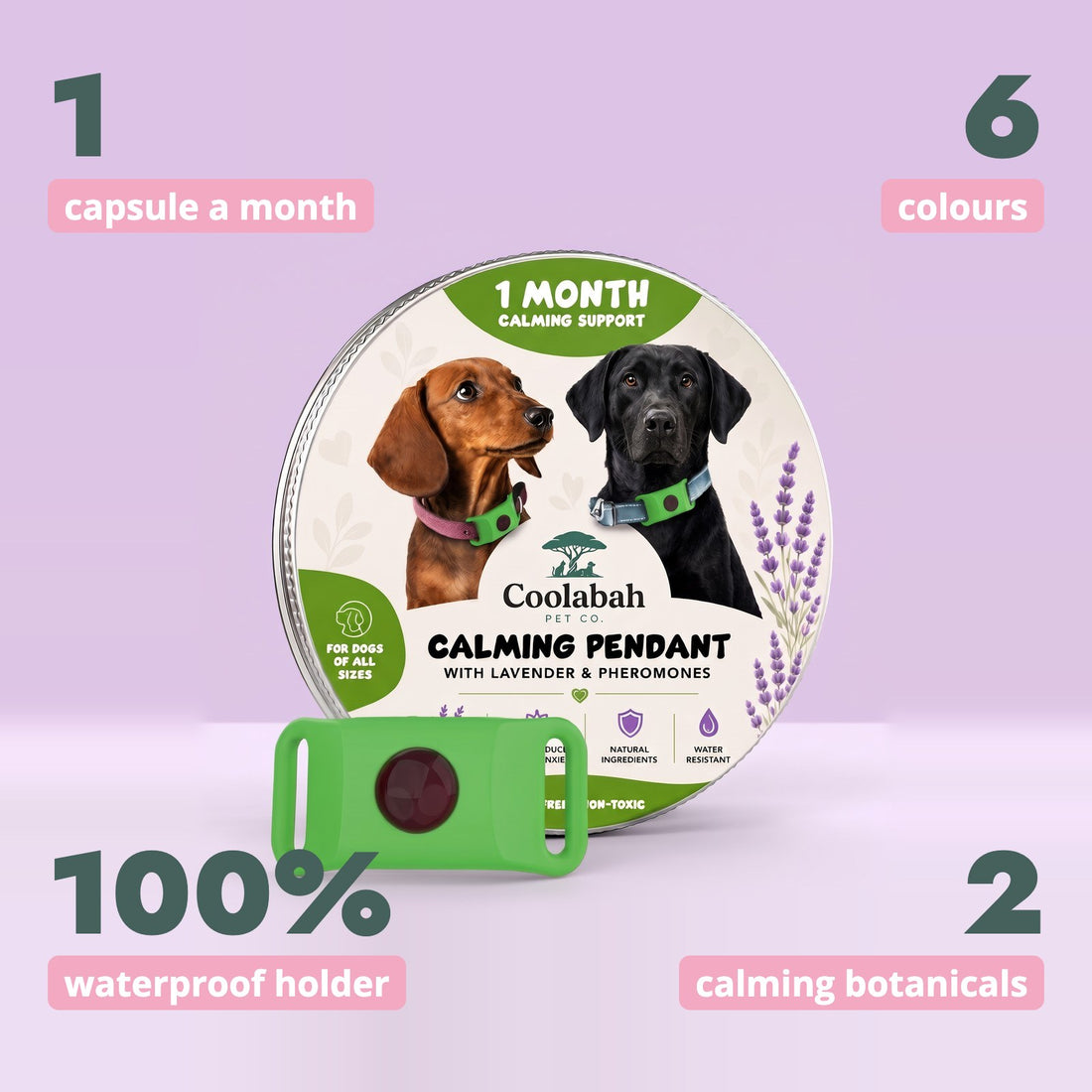 Calming Pendant for Dogs at a glance