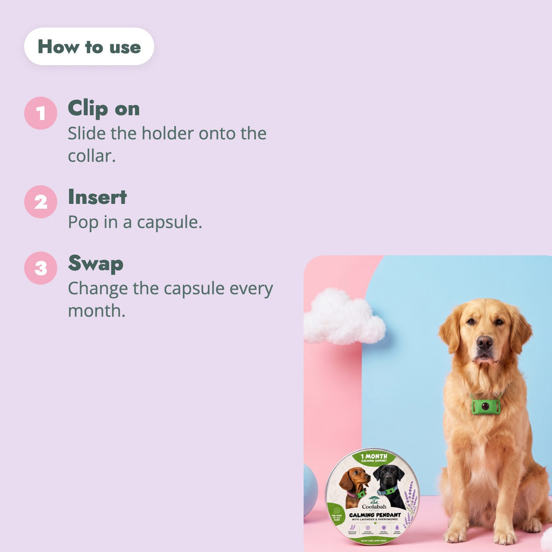 How to use the Calming Pendant for Dogs