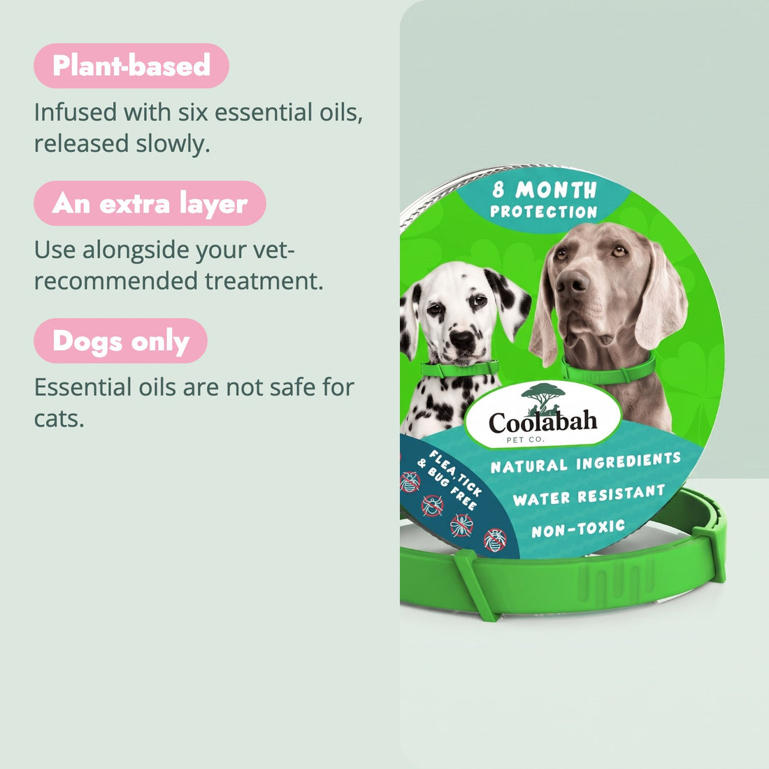 Why pet parents choose the 8-Month Flea & Tick Collar for Dogs