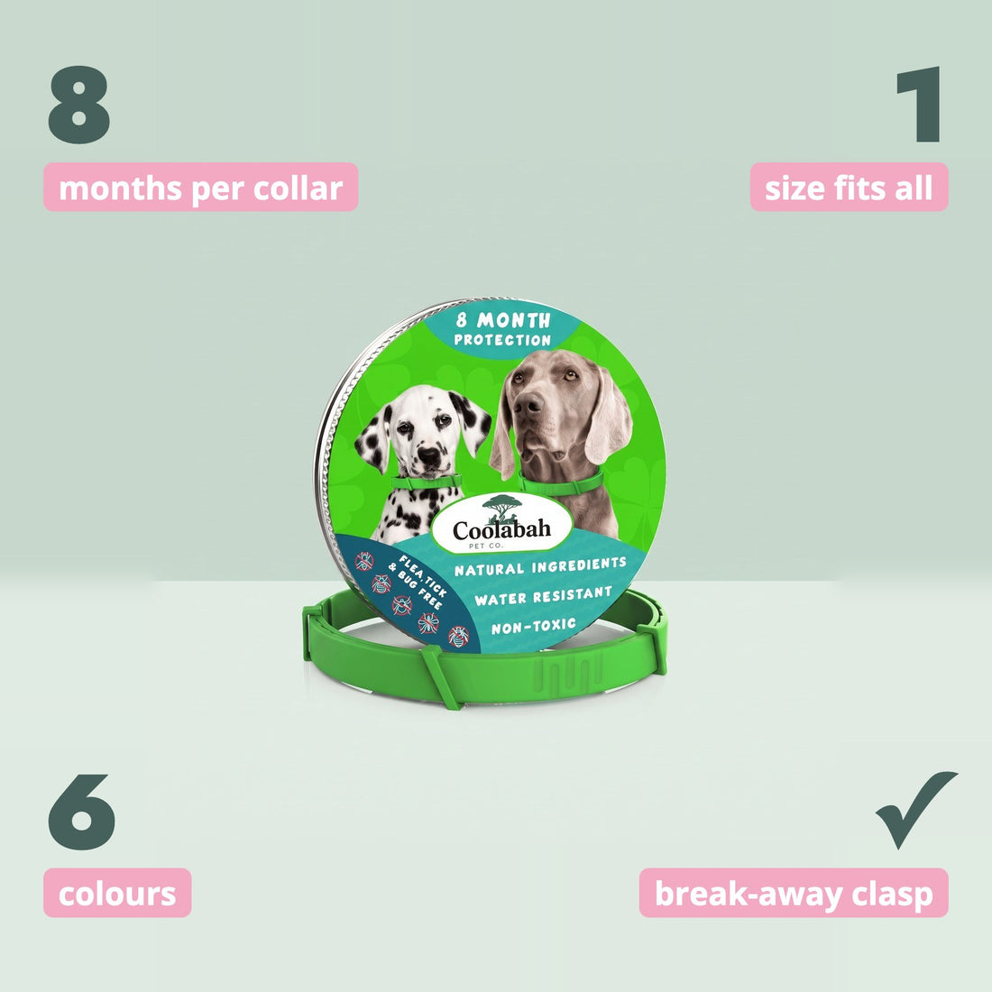 8-Month Flea & Tick Collar for Dogs at a glance