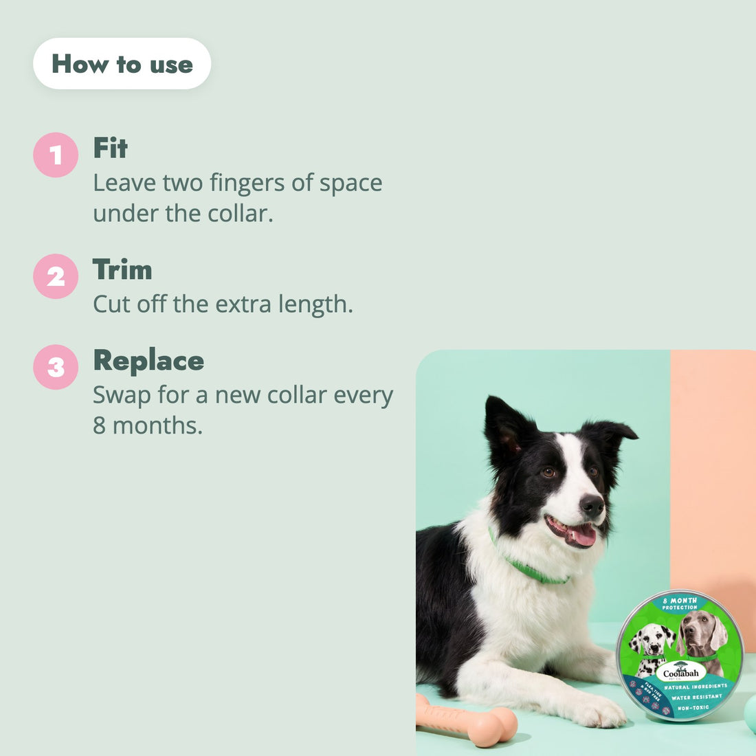 How to use the 8-Month Flea & Tick Collar for Dogs
