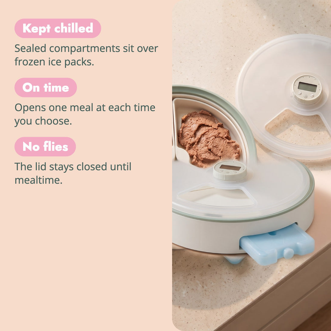 Why pet parents choose the Coolabah Chilled Auto-Feeder
