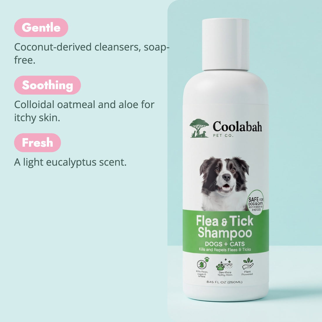 Why pet parents choose the Flea & Tick Shampoo for Dogs