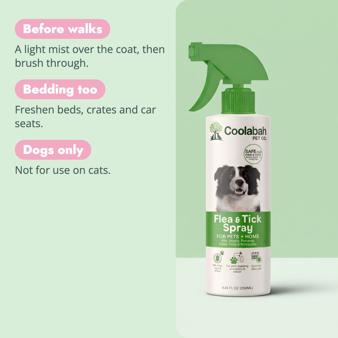 Why pet parents choose the Flea & Tick Spray for Dogs