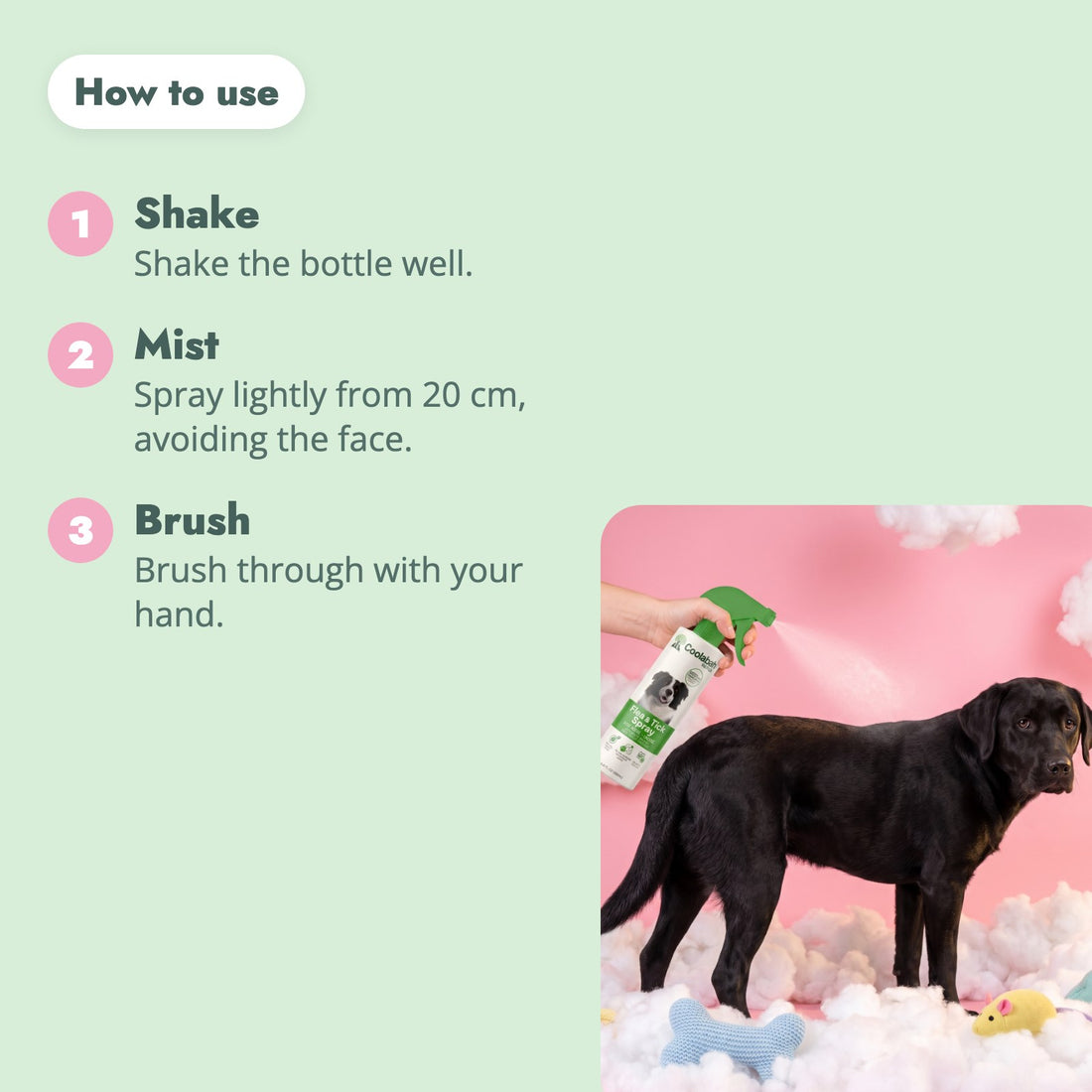 How to use the Flea & Tick Spray for Dogs