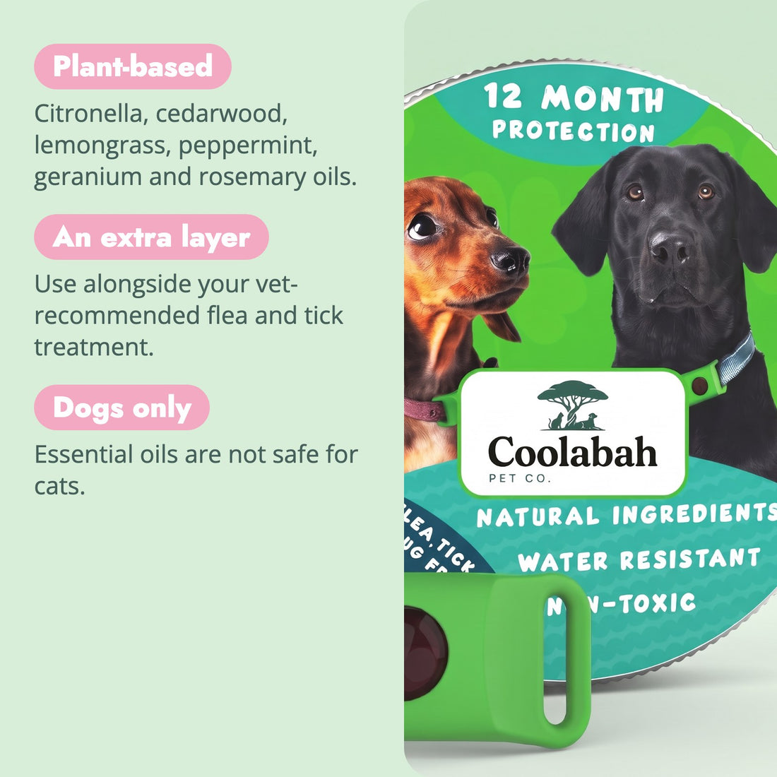 Why pet parents choose the 12-Month Flea & Tick Pendant for Dogs