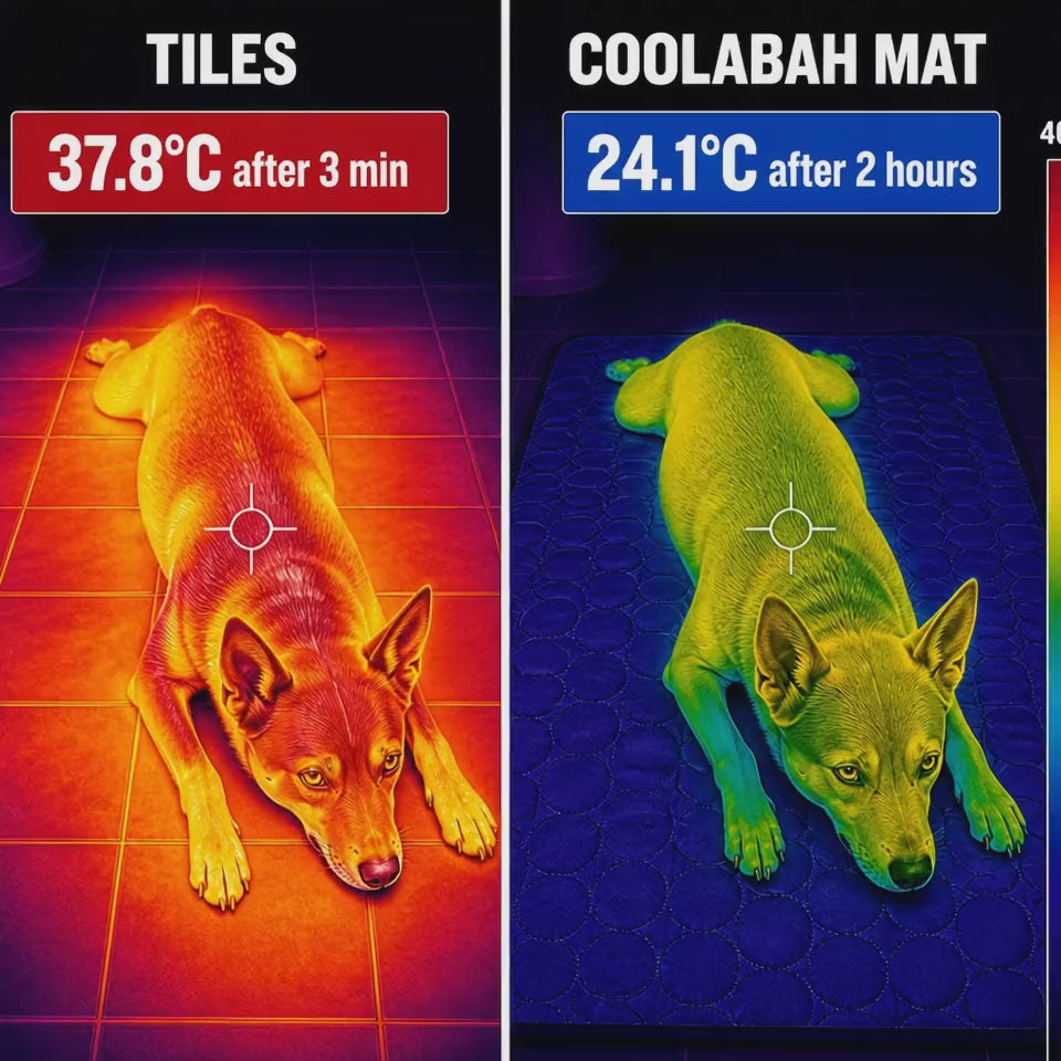 Thermal camera video: tiles stay hot, the Coolabah mat keeps your dog cool